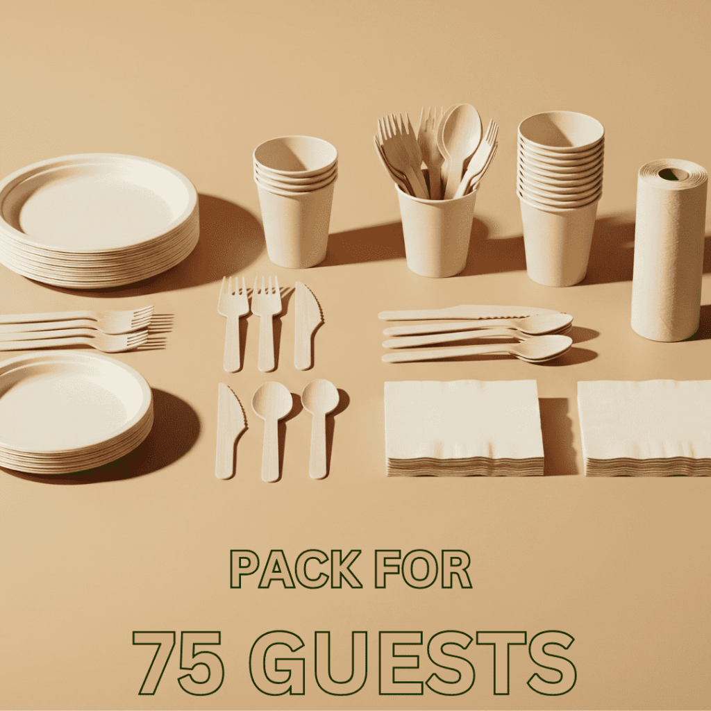 Sustainable 75 Guests party supplies – Twig Pack disposable tableware